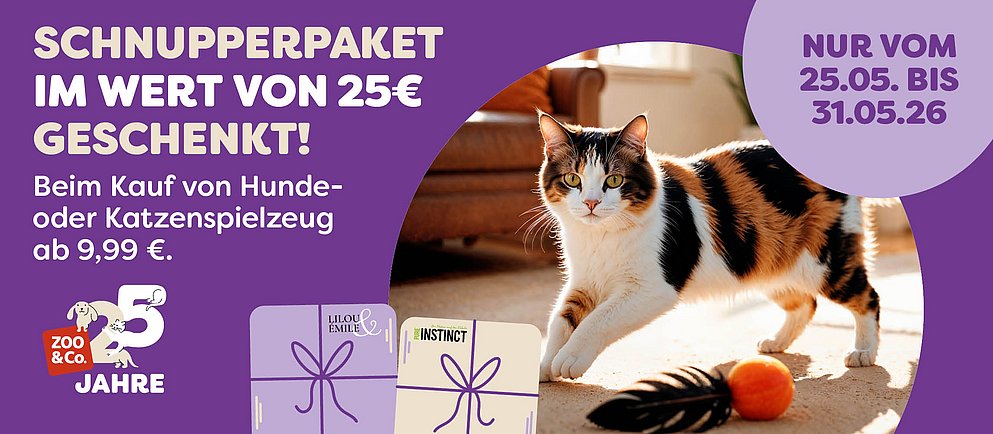 Entdecke die Spielzeugaktion!