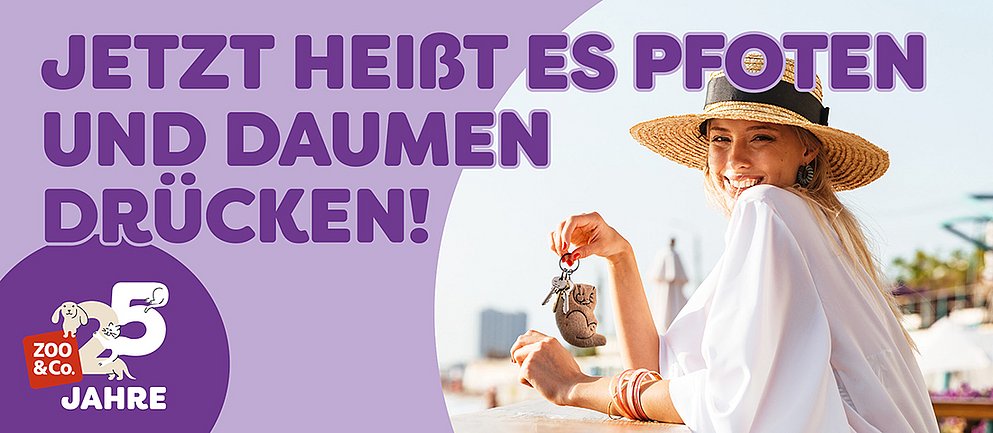 Entdecke die Aktion!