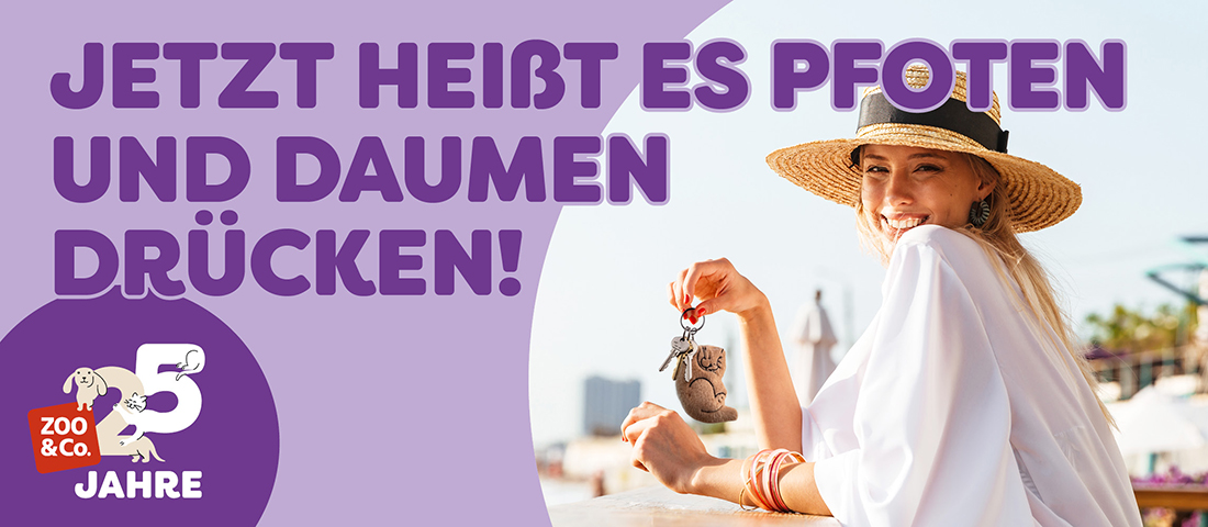 Entdecke die Aktion!